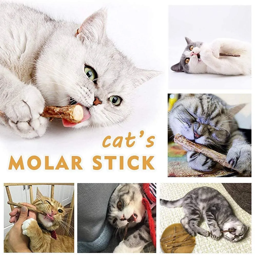 31 PCS Cat Toys Kitten Toys Assortments
