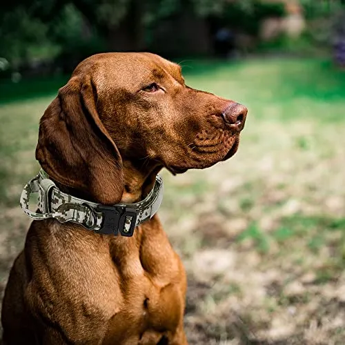 Alainzeo Tactical Dog Collar, Military Training Adjustable Nylon Dog Collar with Control Handle and Quick-Release Heavy Metal Buckle for Medium and Large Dogs (Army Green, S)