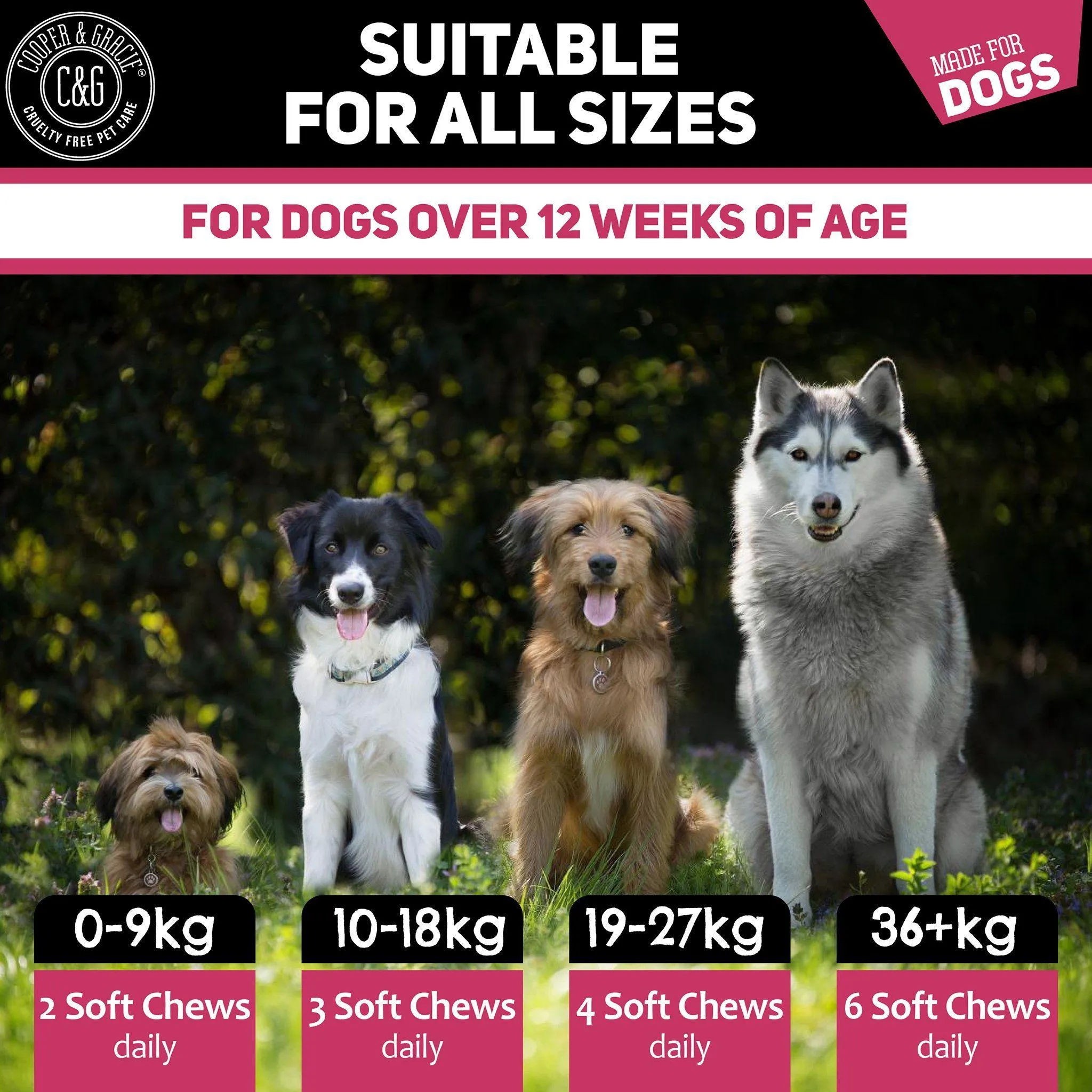 Anti-Itch Supplement for Dogs