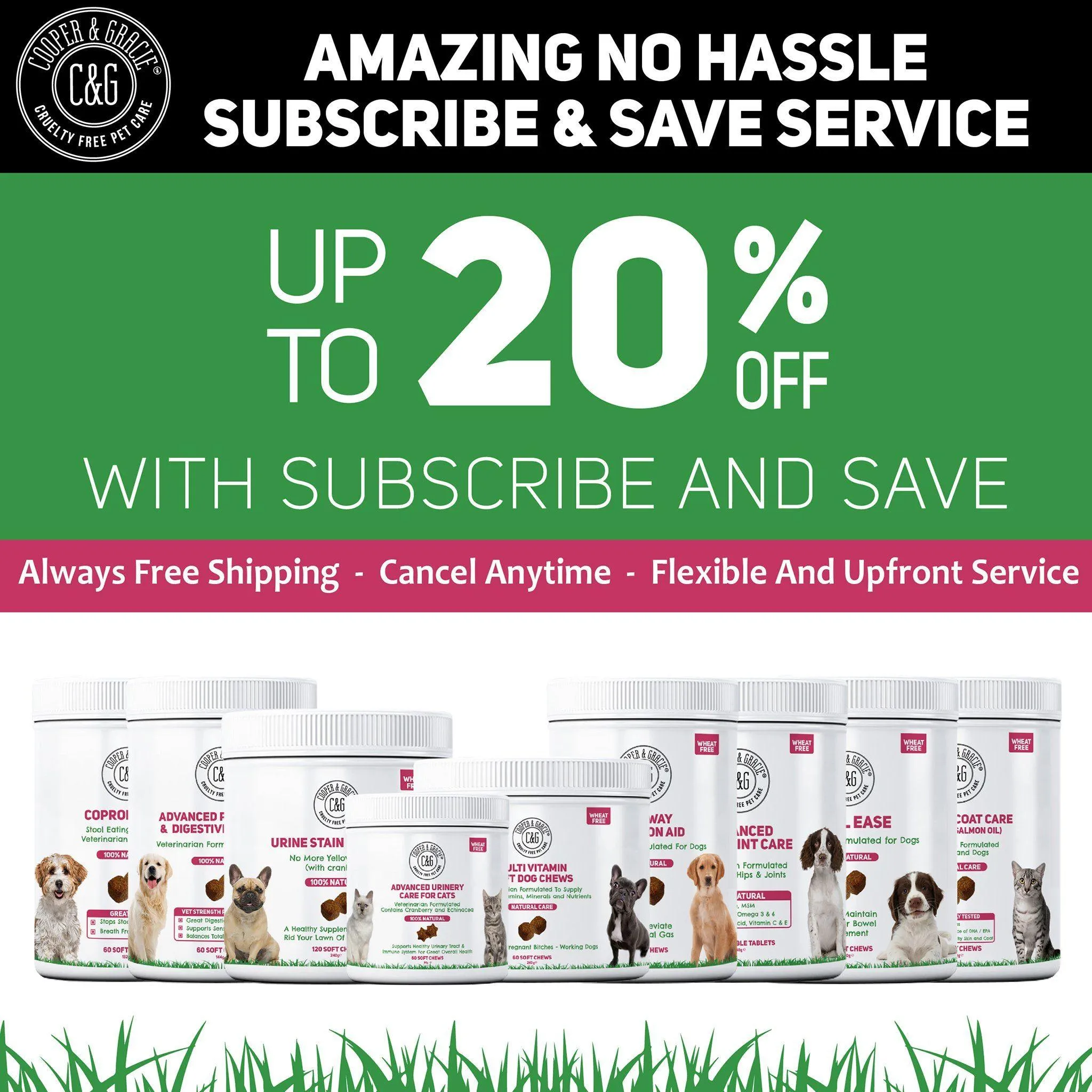 Anti-Itch Supplement for Dogs