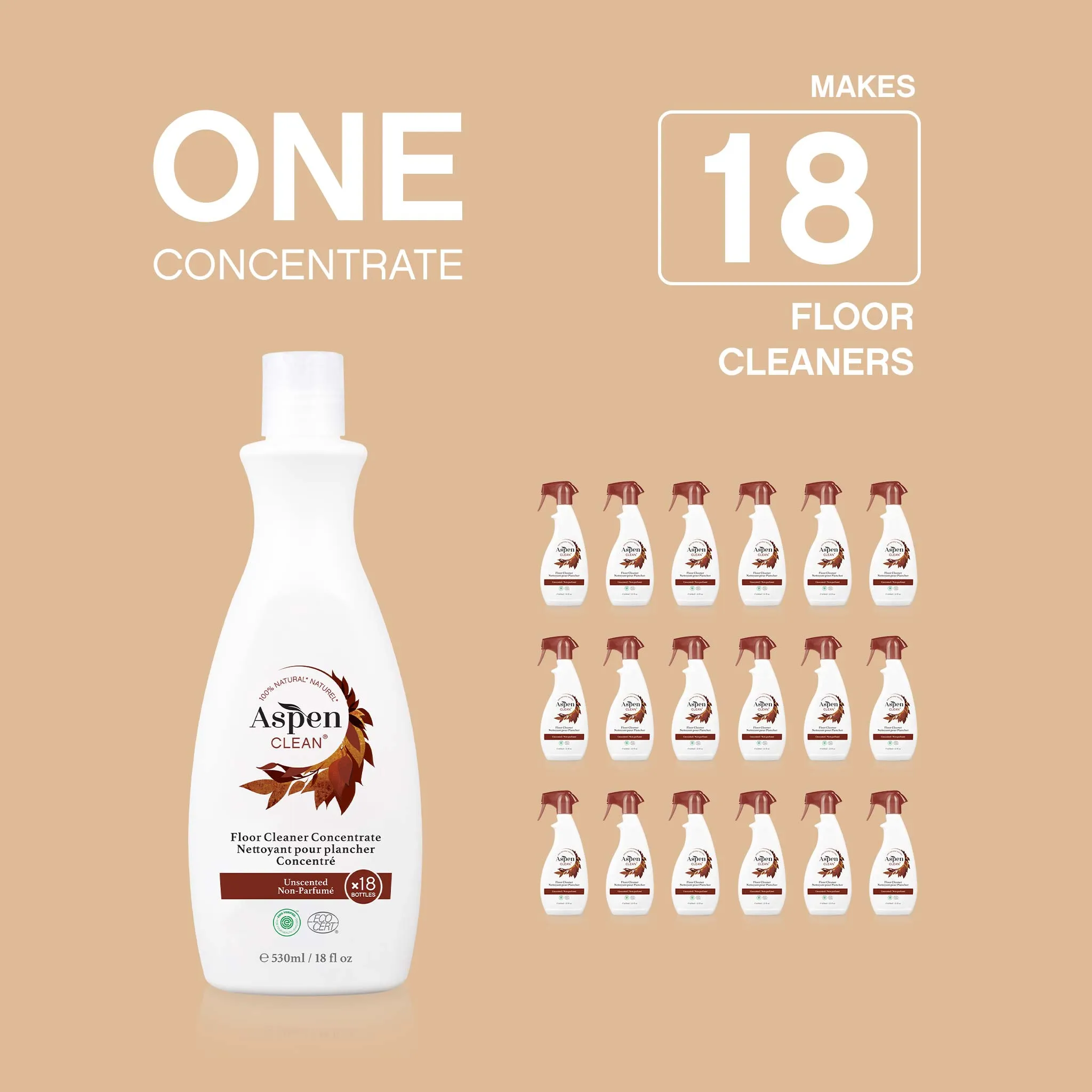 AspenClean Concentrated Floor Cleaning Kit