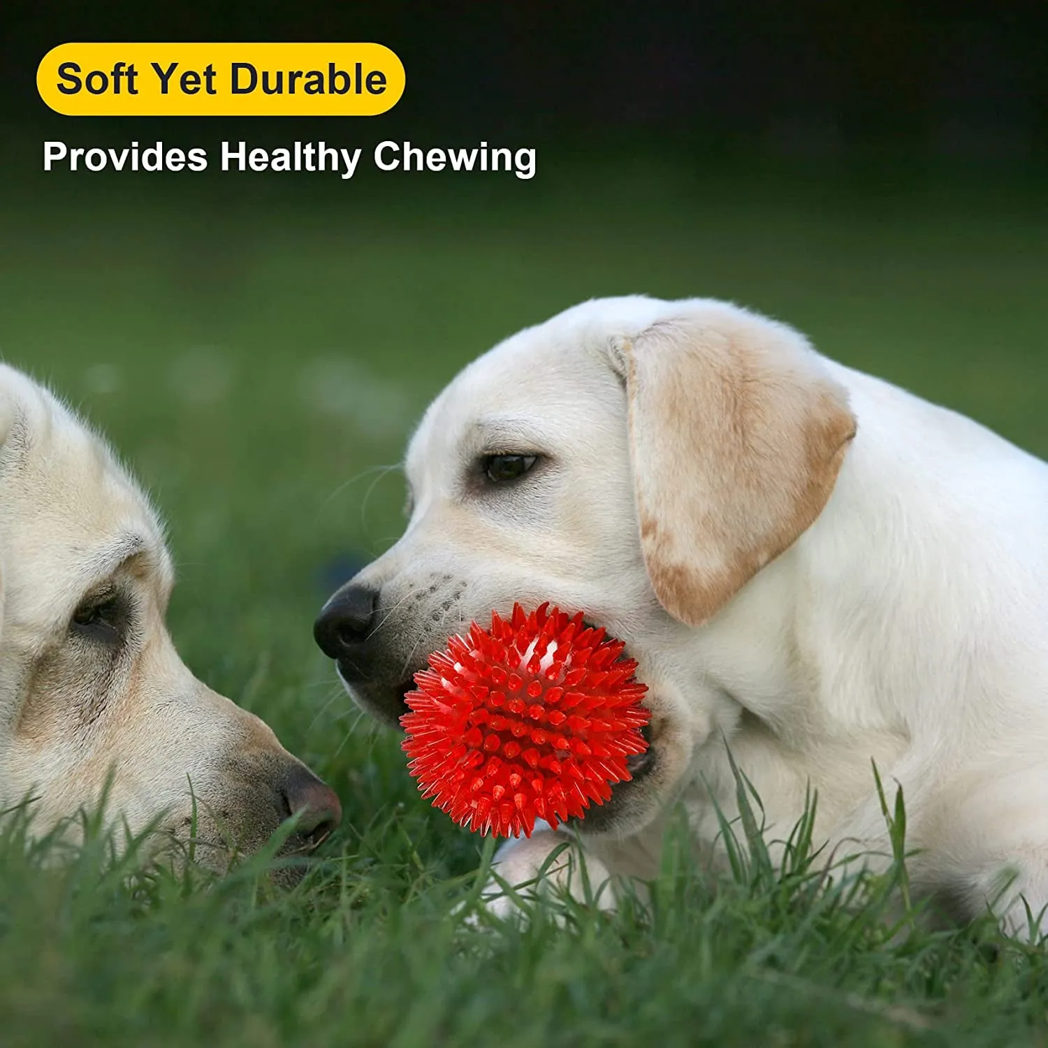 Balls (6 Colors) Puppy Chew Toys