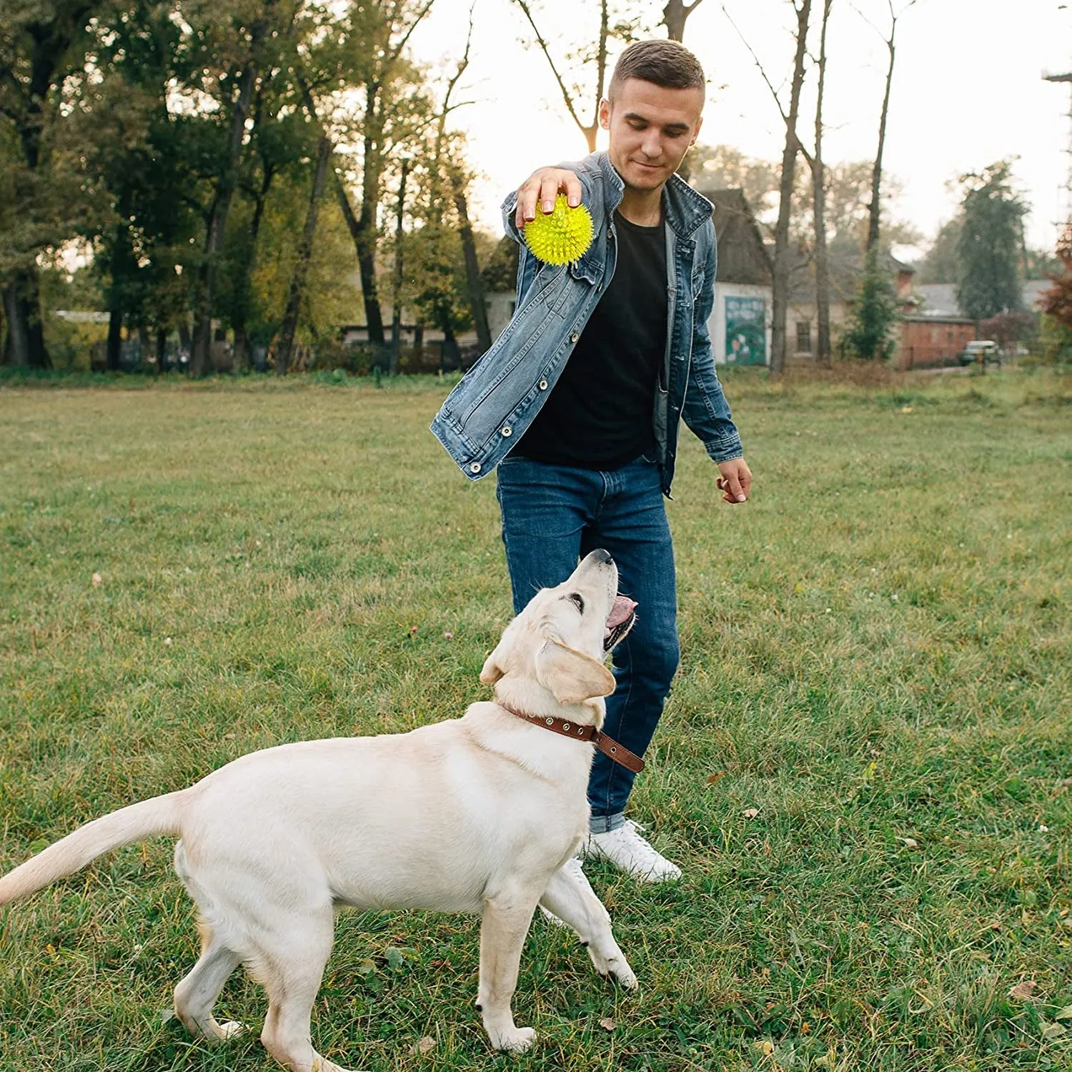 Balls (6 Colors) Puppy Chew Toys