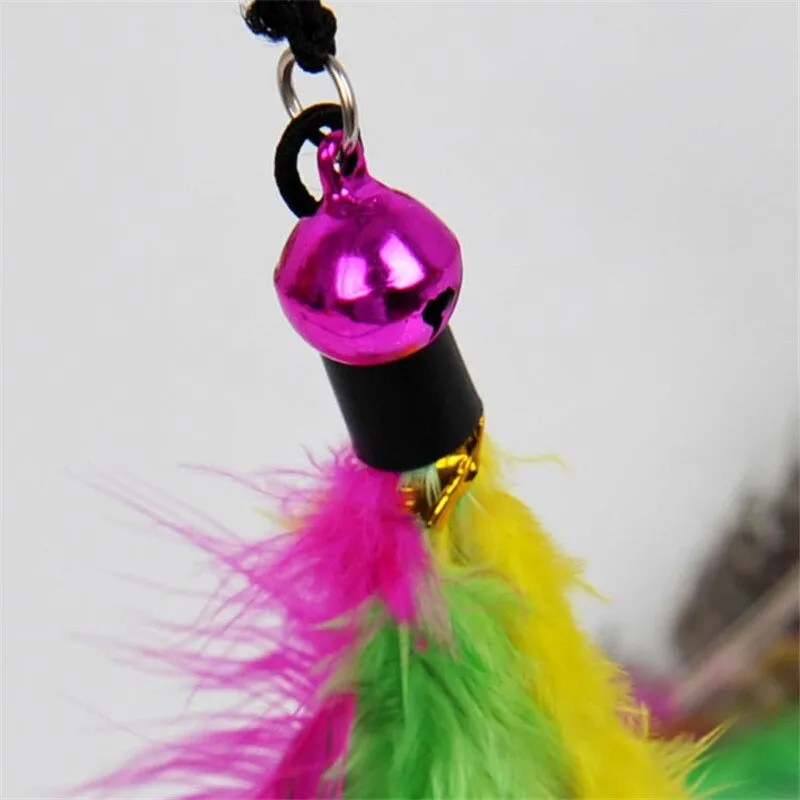 Bird Feather Teaser Wand