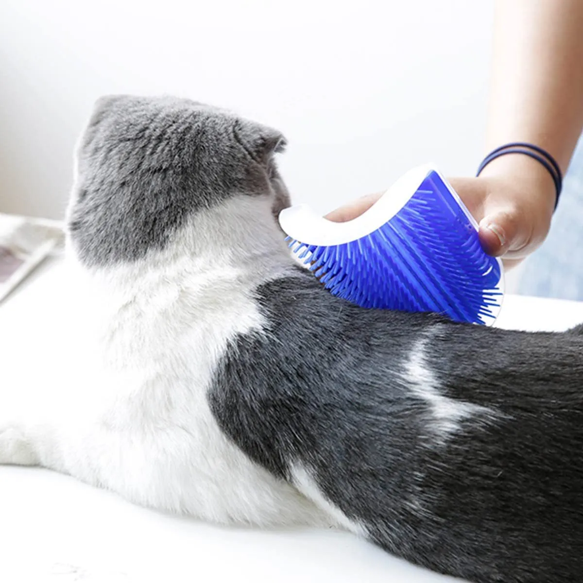 Cat Self Groomer Arch  Self Cleaning Slicker Brush