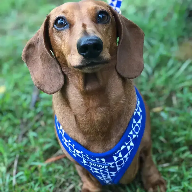 DOGUE Geometric Dog Harness