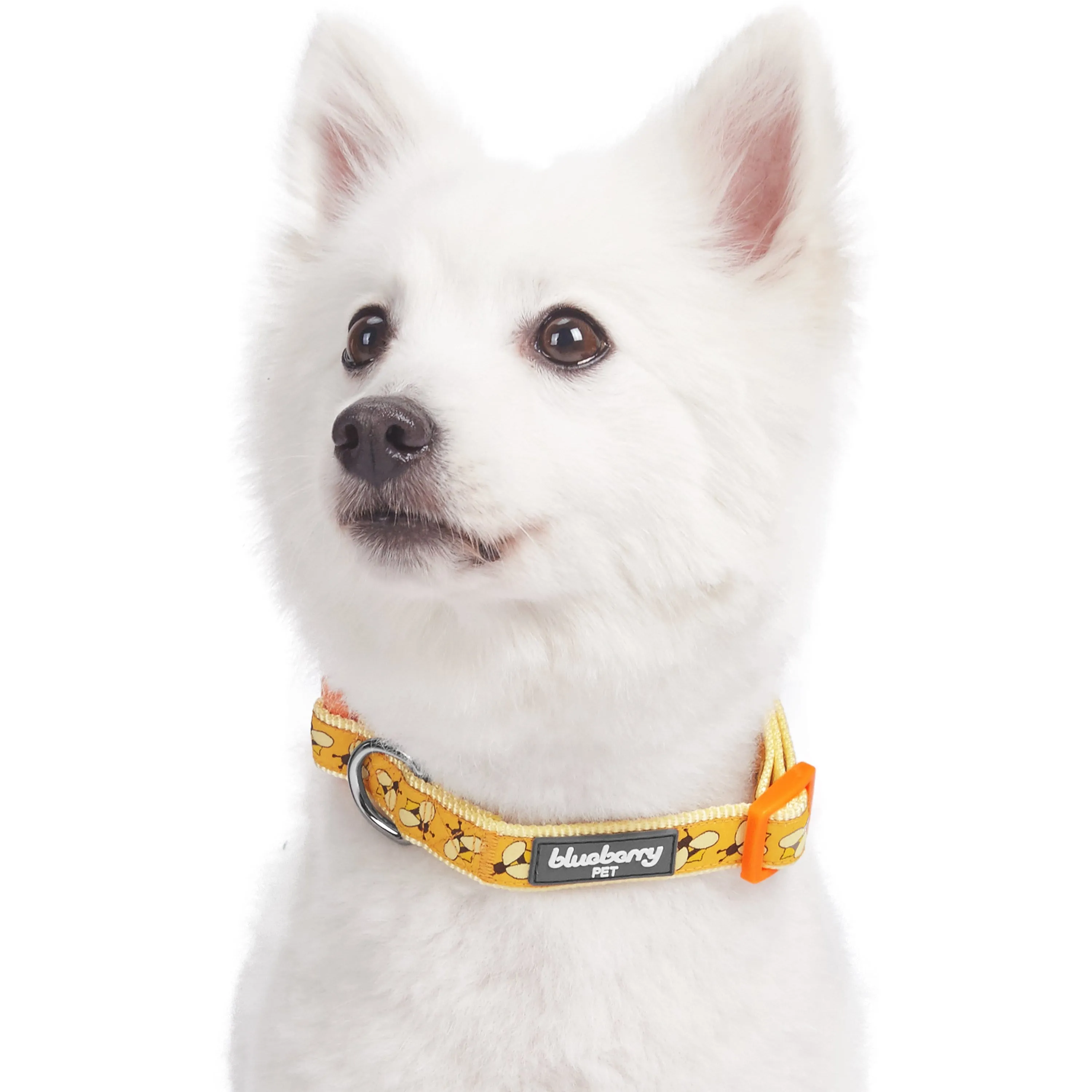 Flamingo Ladybug Dog Collar, Summer Vacation Tropical Hawaiian Palm Leaves Collar