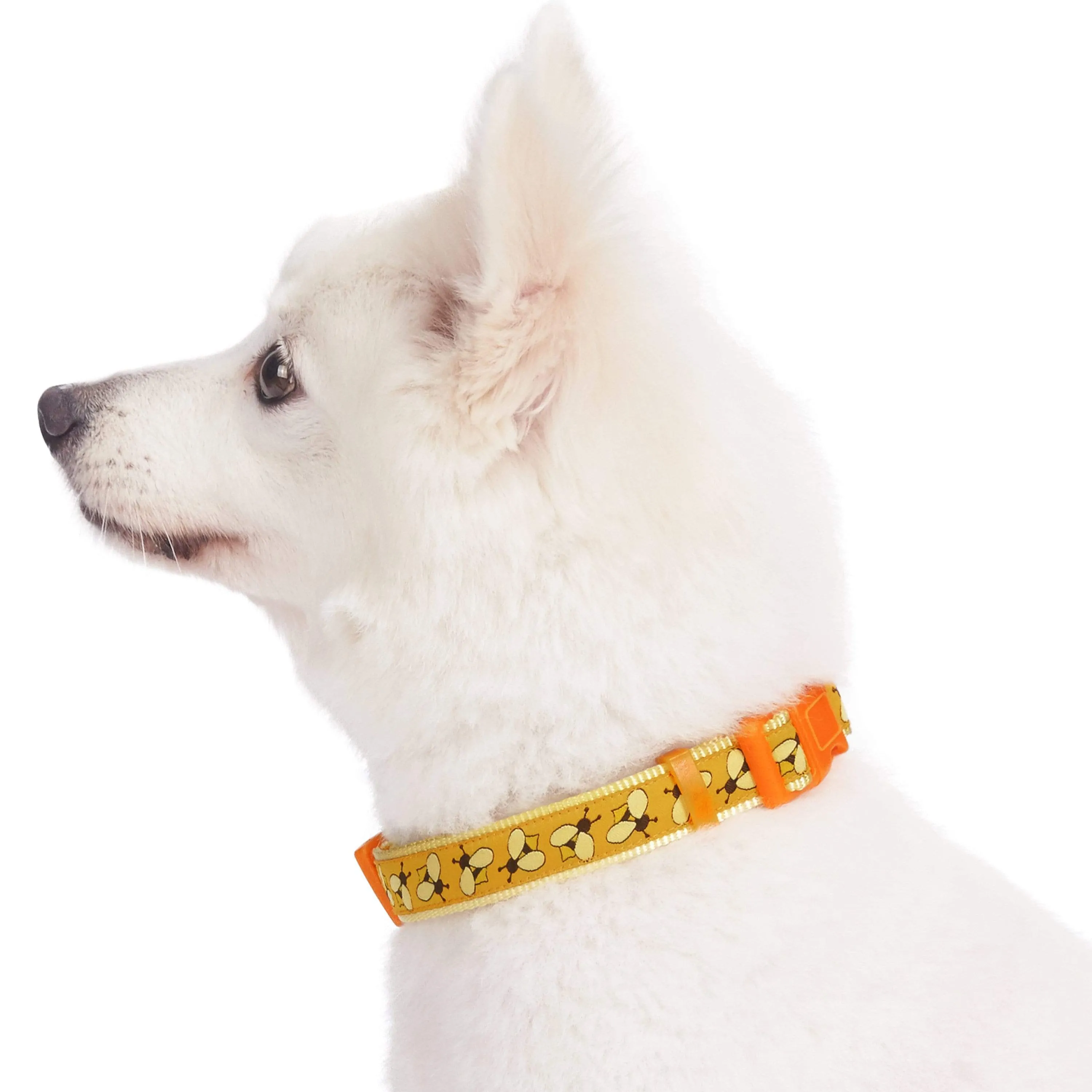 Flamingo Ladybug Dog Collar, Summer Vacation Tropical Hawaiian Palm Leaves Collar