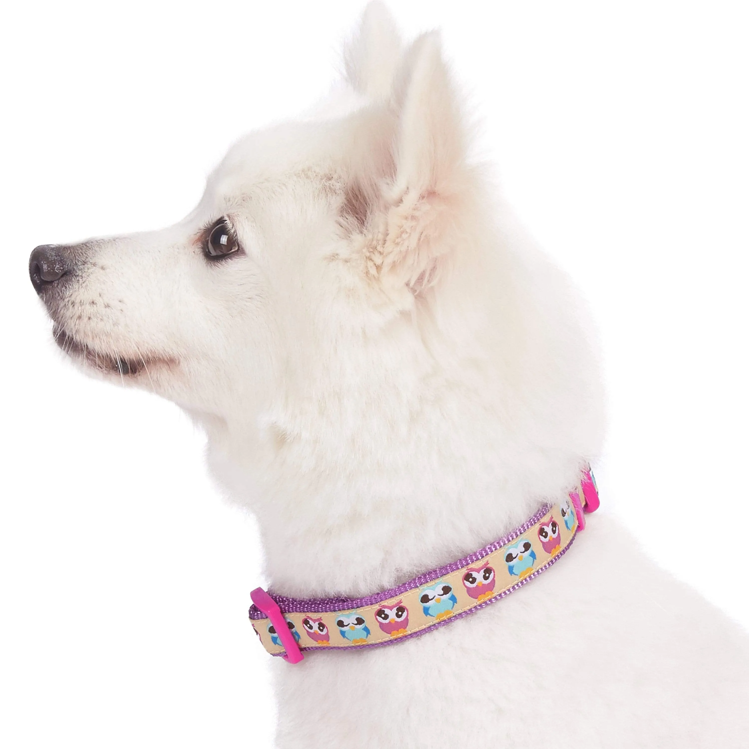 Flamingo Ladybug Dog Collar, Summer Vacation Tropical Hawaiian Palm Leaves Collar