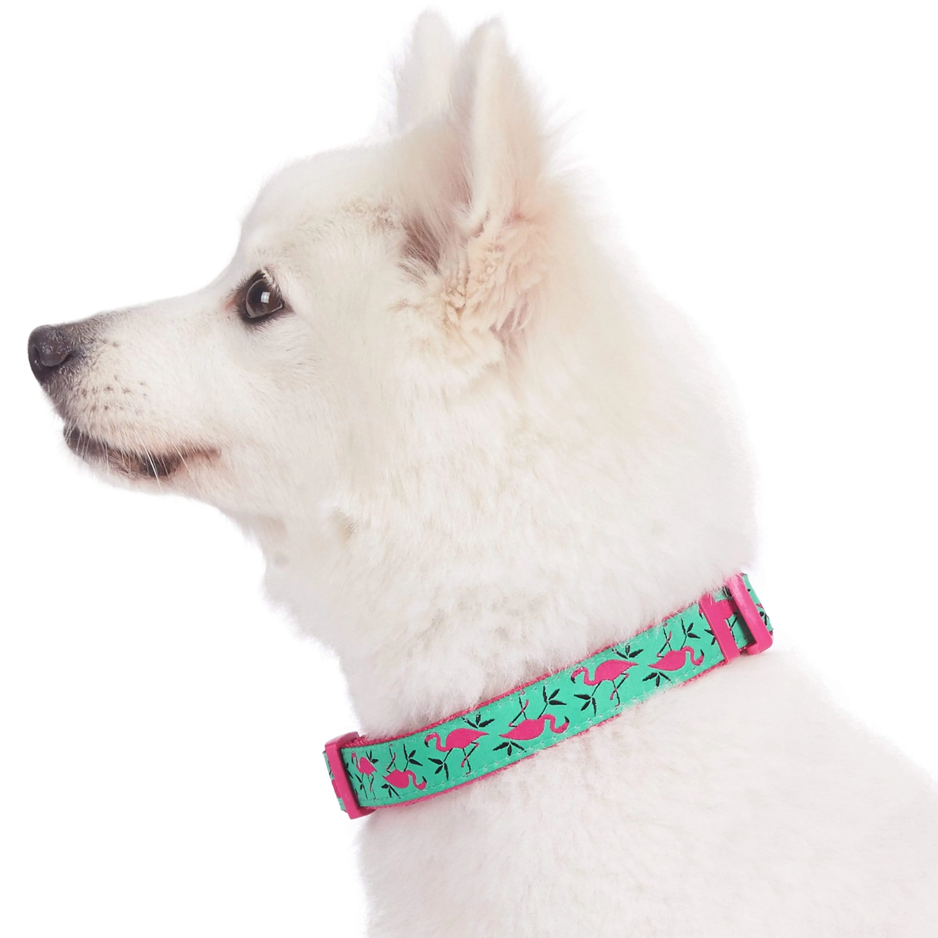 Flamingo Ladybug Dog Collar, Summer Vacation Tropical Hawaiian Palm Leaves Collar