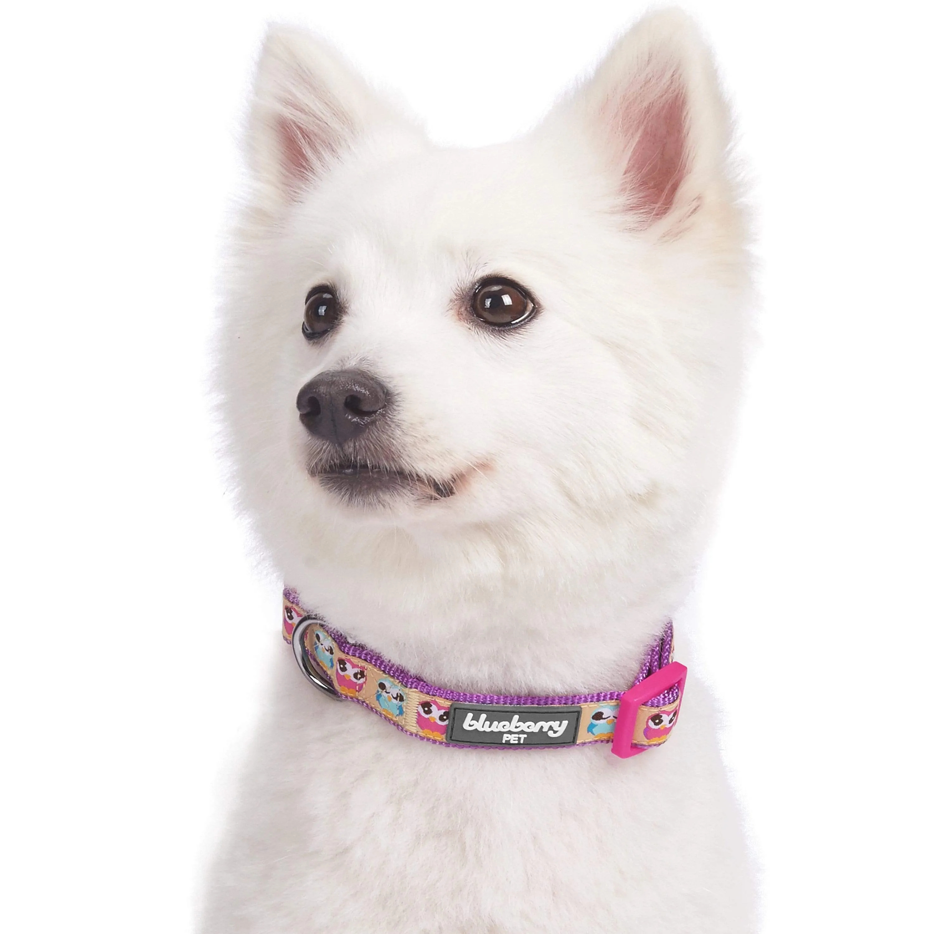 Flamingo Ladybug Dog Collar, Summer Vacation Tropical Hawaiian Palm Leaves Collar