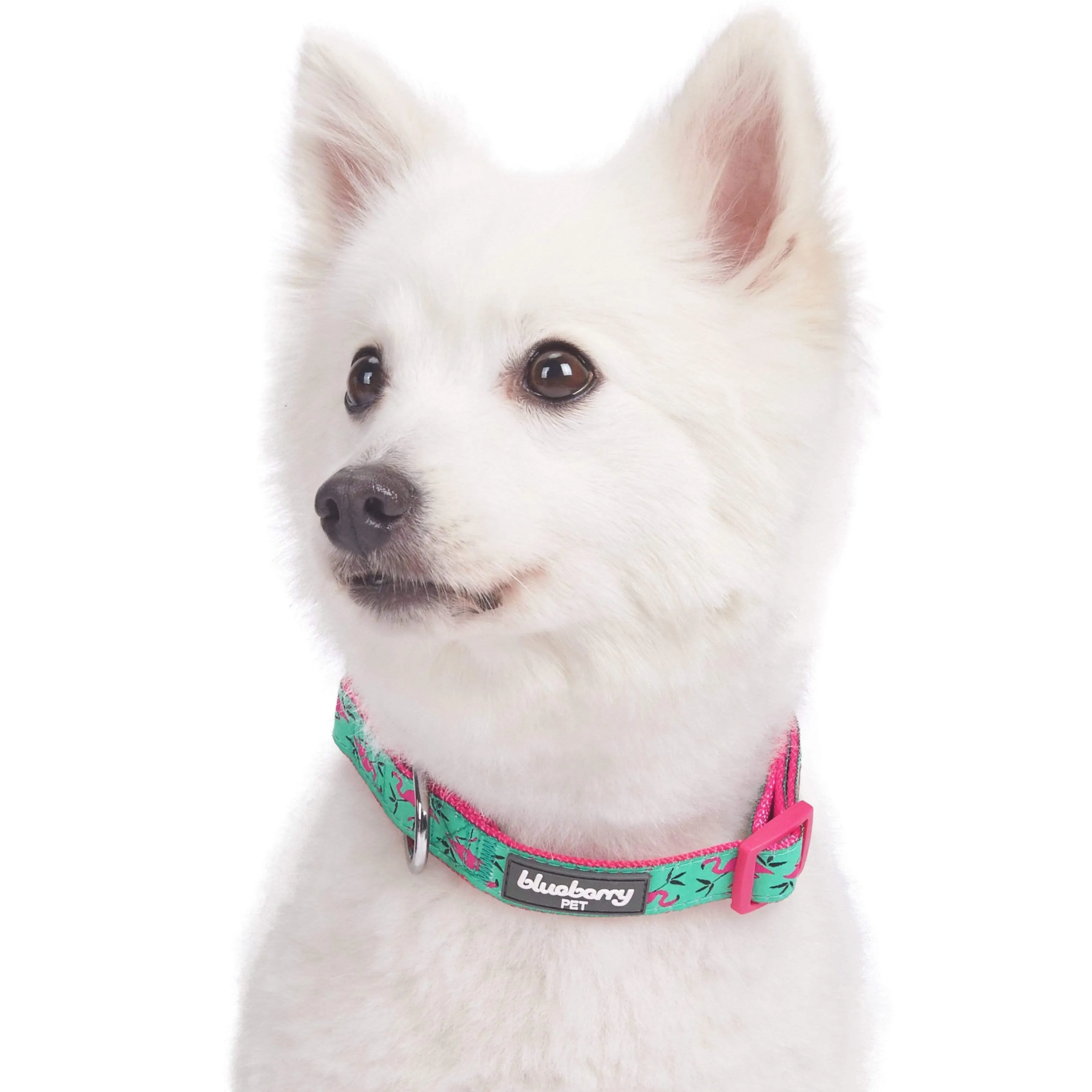 Flamingo Ladybug Dog Collar, Summer Vacation Tropical Hawaiian Palm Leaves Collar