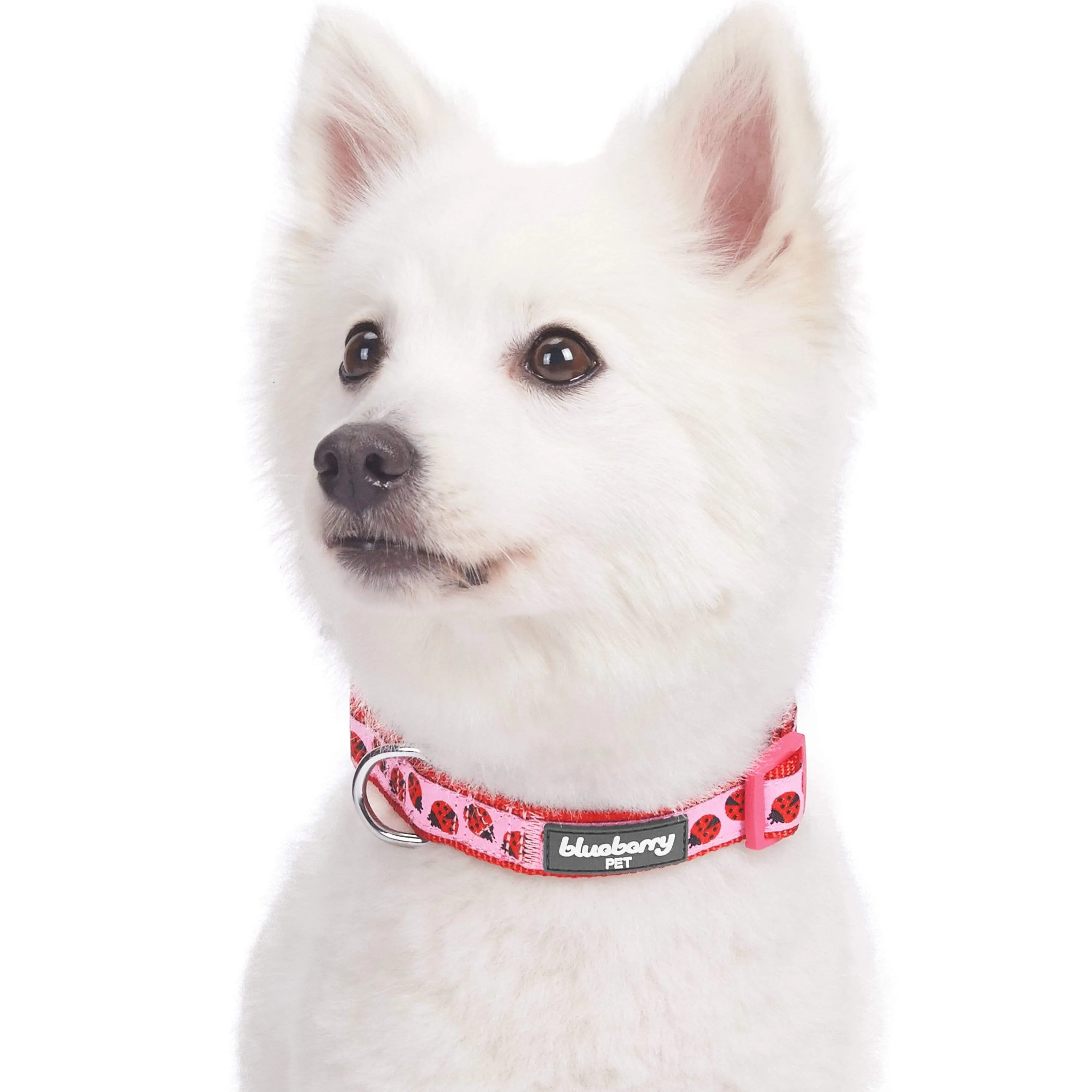Flamingo Ladybug Dog Collar, Summer Vacation Tropical Hawaiian Palm Leaves Collar