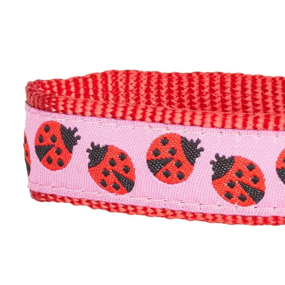 Flamingo Ladybug Dog Leash, Summer Vcation Hawaiian Plam Leaves Leash