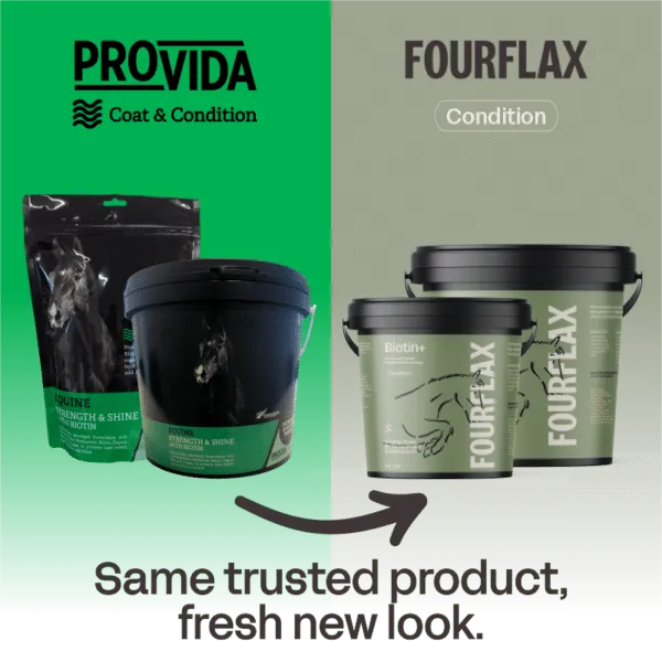 FourFlax Biotin 