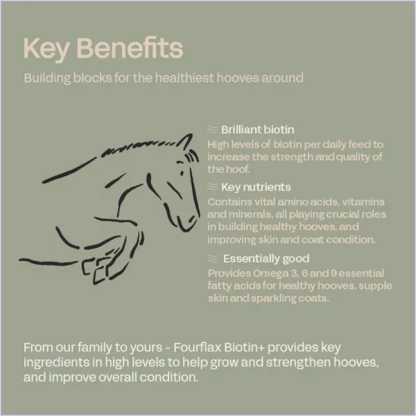 FourFlax Biotin 