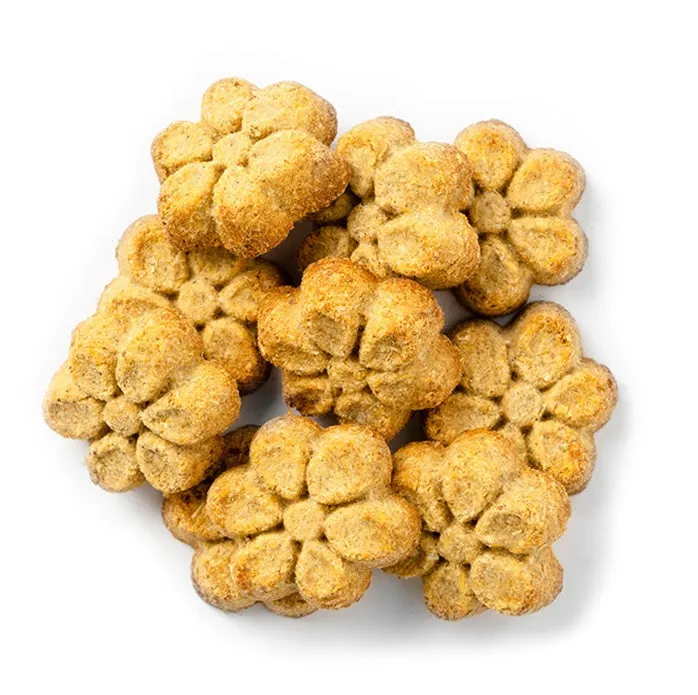 Fruitables - Baked Dog Treats - Pumpkin & Blueberry