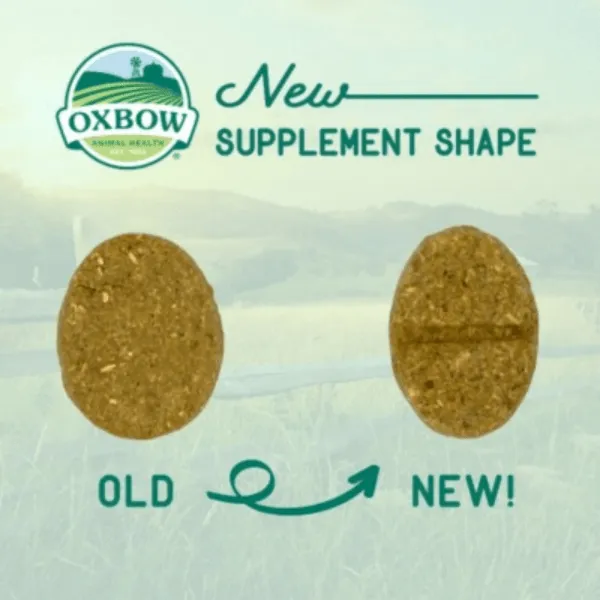 Oxbow Natural Science Skin & Coat Support