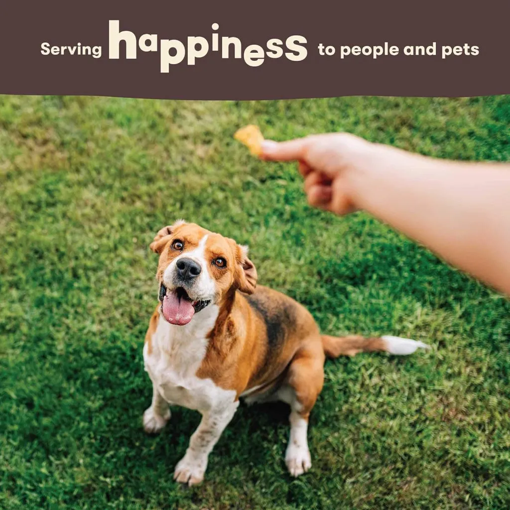 Pet ‘n Shape Chik 'n  Biscuits Jerky Wrapped Treats For Dogs (16 oz)