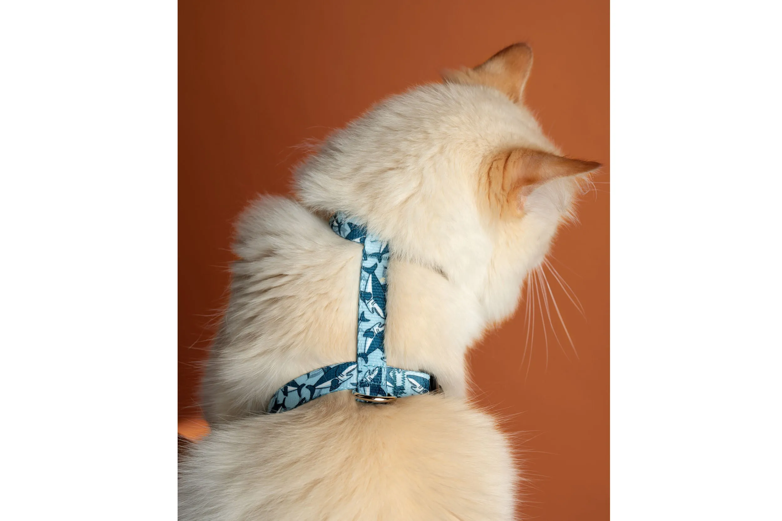 PRINTS - 5/8" wide Cat or Rabbit Harness, H-style | 23 Prints