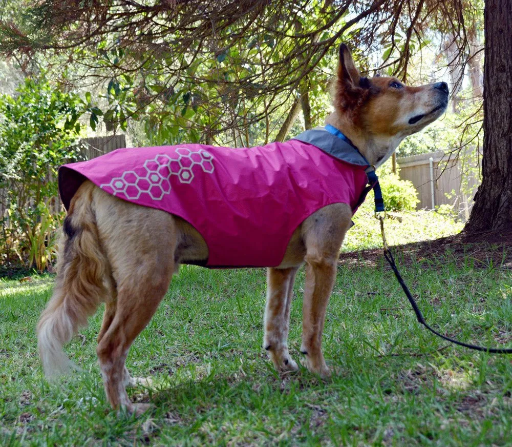 RC Pets Venture Rainwear Pink SALE