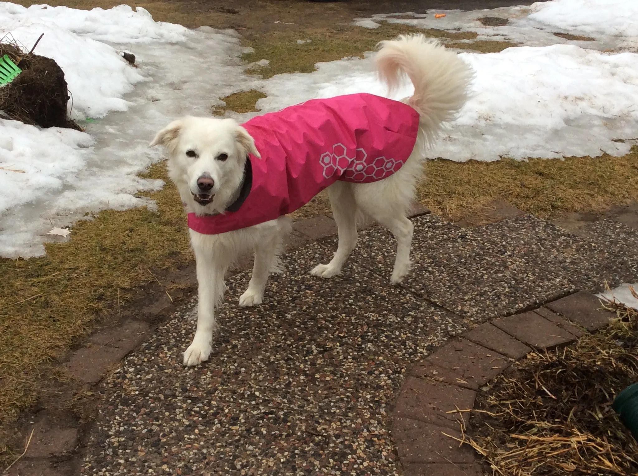 RC Pets Venture Rainwear Pink SALE
