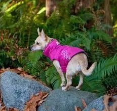 RC Pets Venture Rainwear Pink SALE