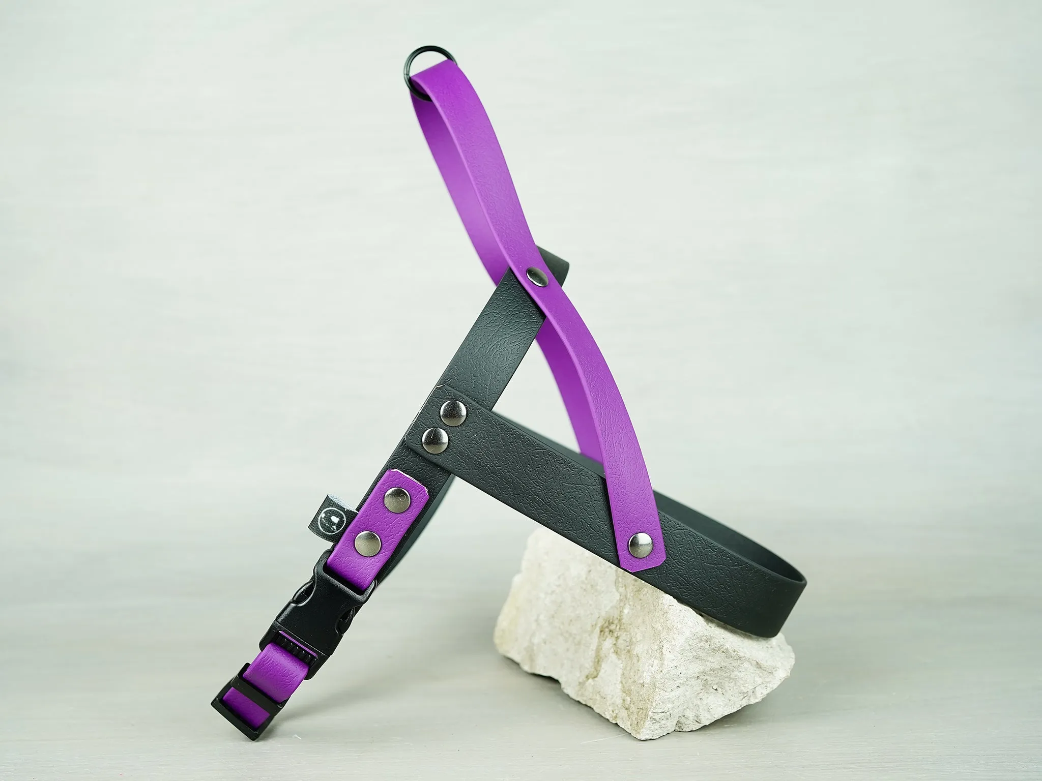 Waterproof Dog Harness in PVC Coated Webbing with Reflective Details