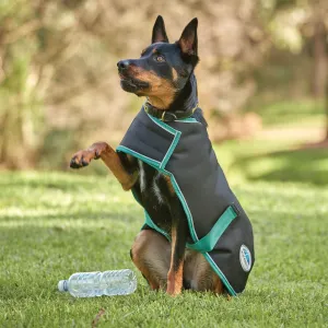 Weatherbeeta Green-Tec 900D Dog Coat