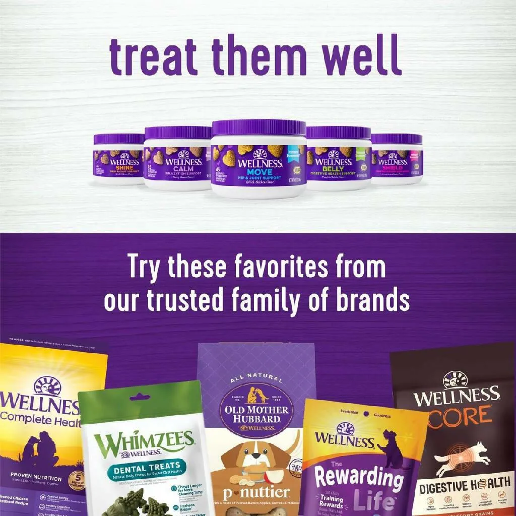 Wellness Shine Skin & Coat Supplement for Dogs