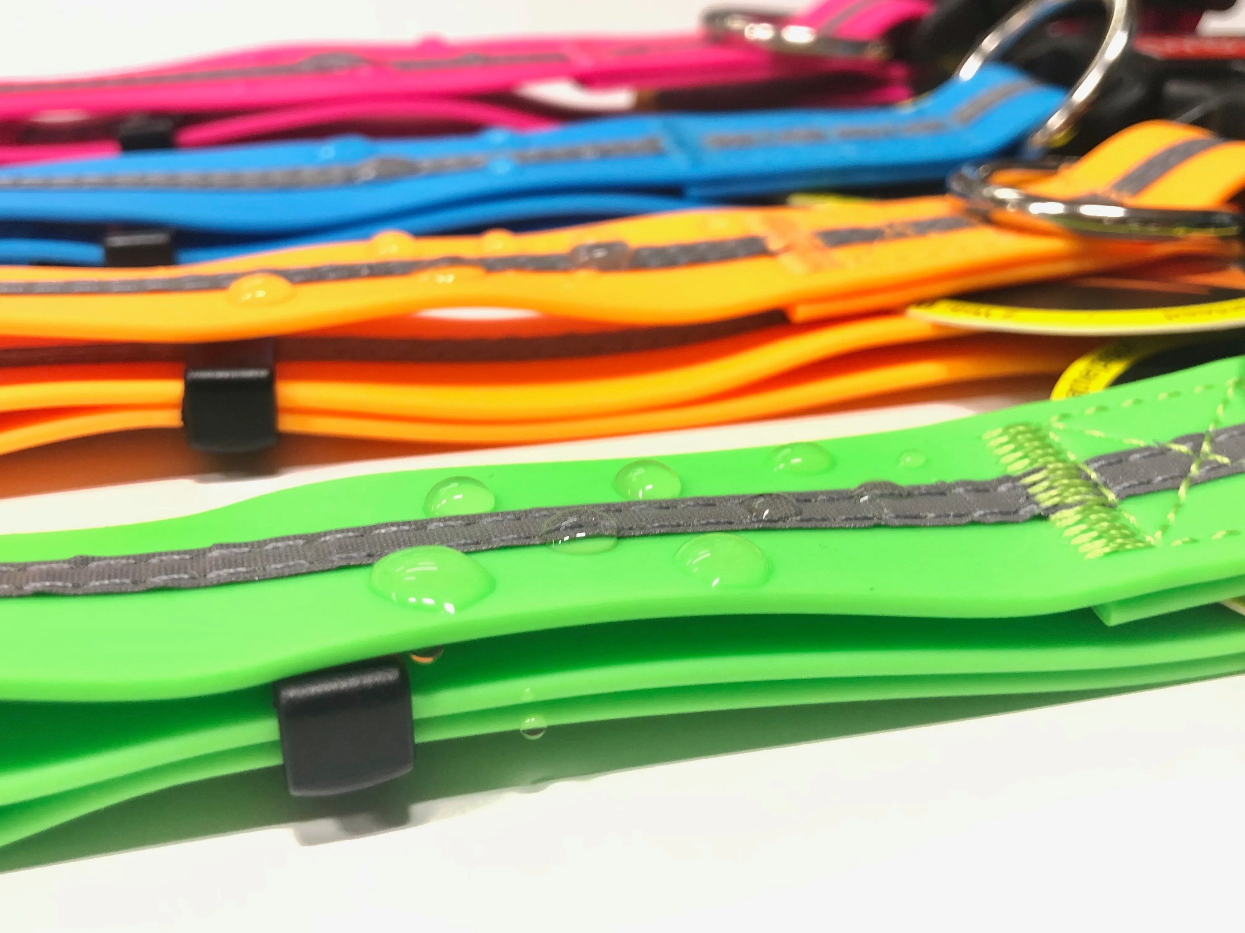 Wigzi Waterproof Dog Collar